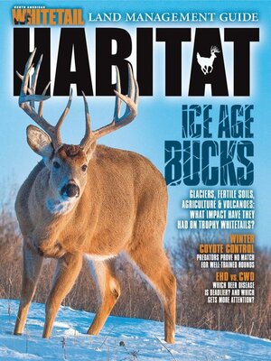 cover image of North American Whitetail